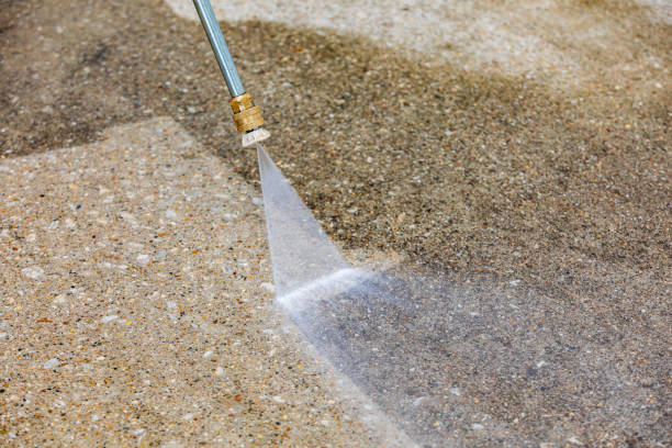 Animal Enclosure Cleaning in Steeleville, IL
